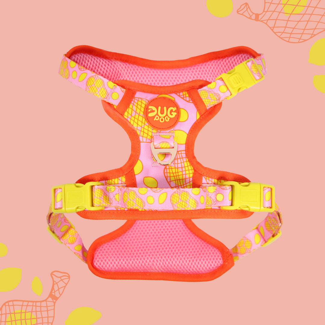 Pog & Pull harness - Simply the Zest