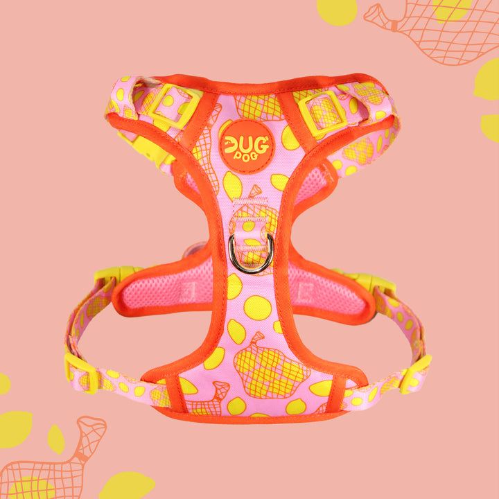Pog & Pull harness - Simply the Zest