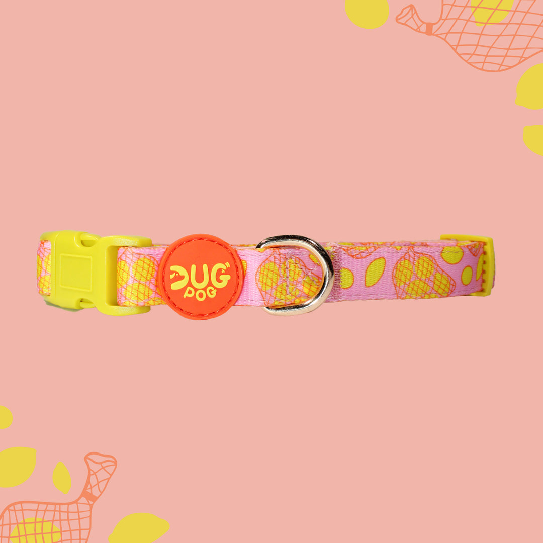 The Dug collar - Simply the Zest