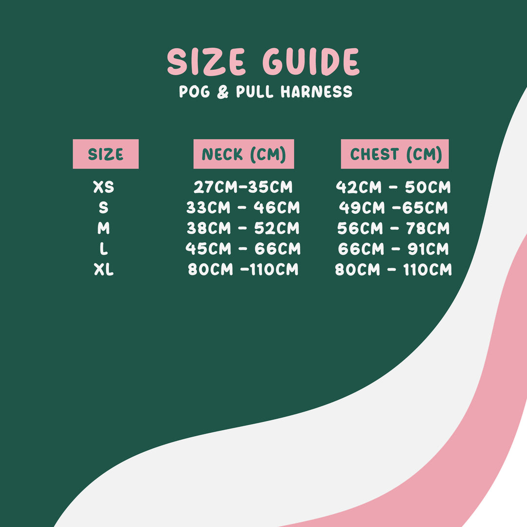 Pog & Pull harness - Simply the Zest