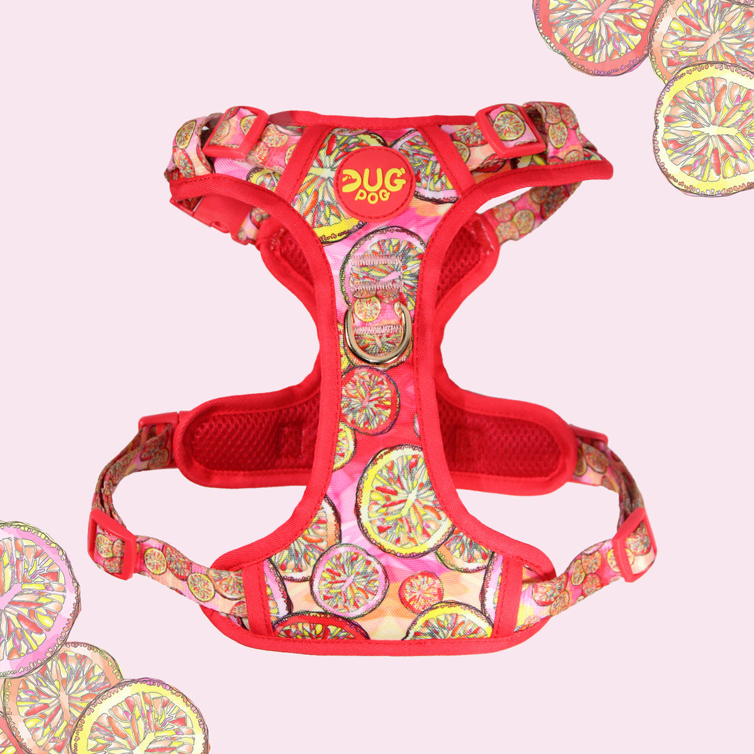 Pog & Pull harness - Sweet Clementine