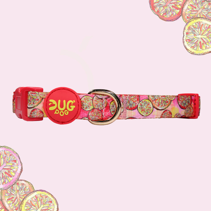 The Dug collar - Sweet Clementine