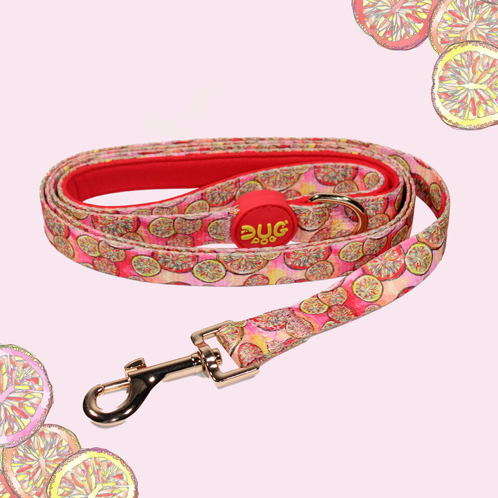 Lead - Sweet Clementine