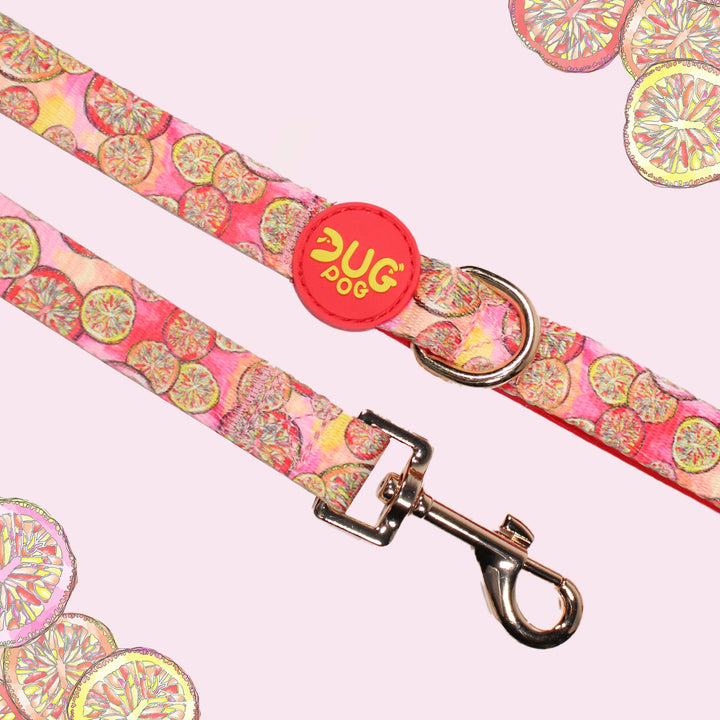 Lead - Sweet Clementine