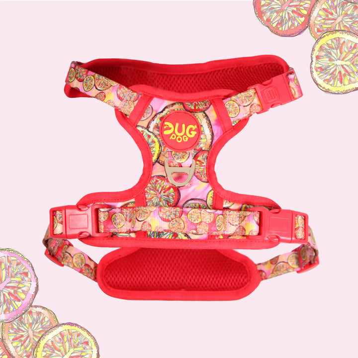 Pog & Pull harness - Sweet Clementine