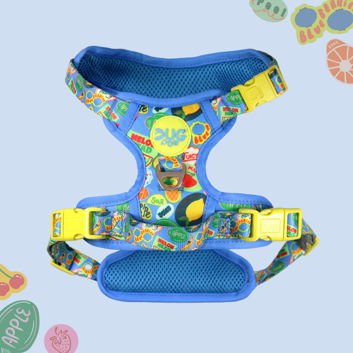 Pog & Pull harness - The Pogs Punnet