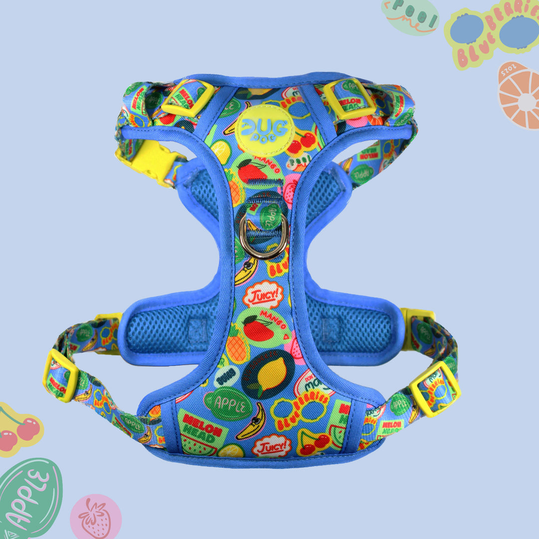 Pog & Pull harness - The Pogs Punnet