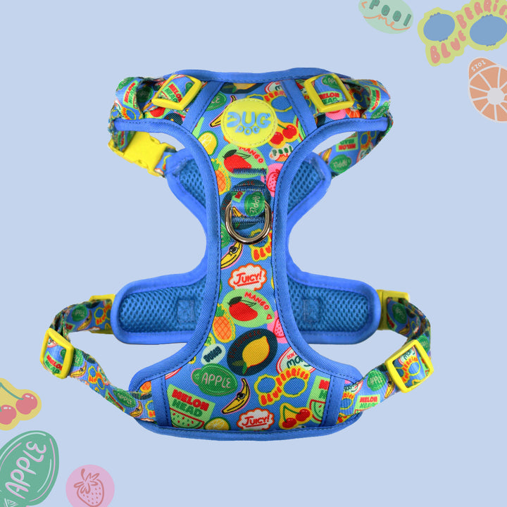 Pog & Pull harness - The Pogs Punnet