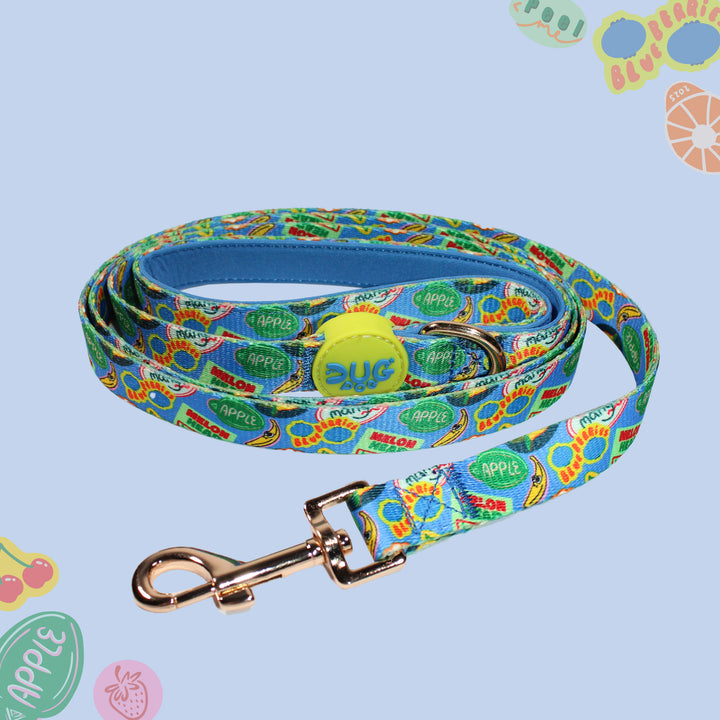 Lead - The Pogs Punnet