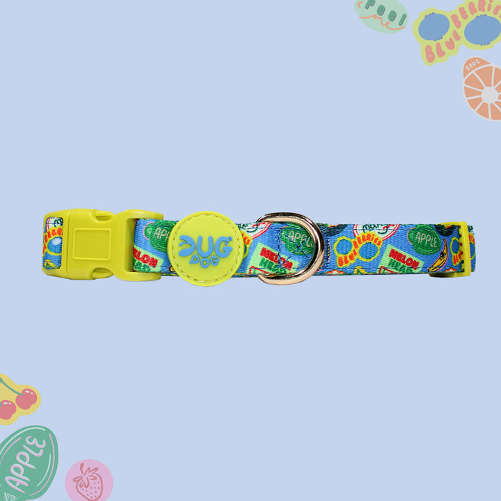 The Dug collar - The Pogs Punnet