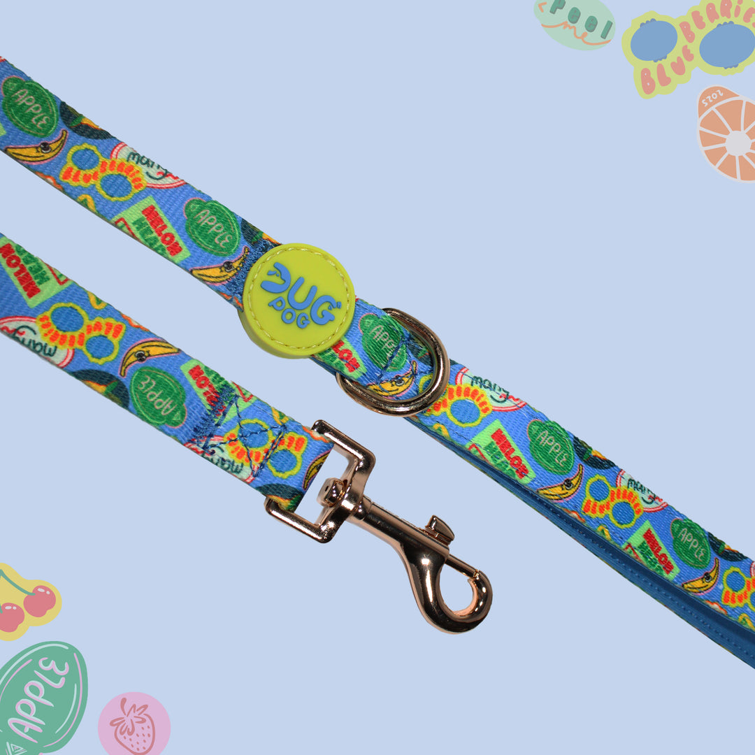 Lead - The Pogs Punnet