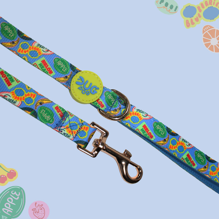 Lead - The Pogs Punnet